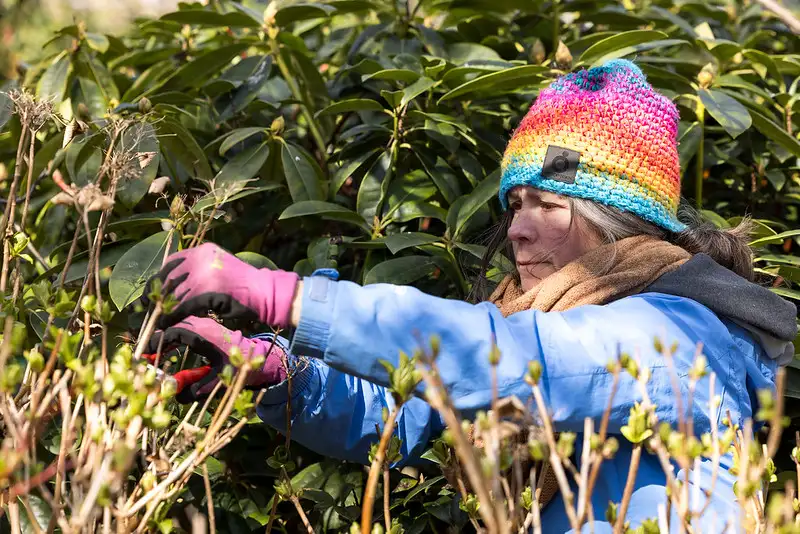 NLdoet_Den_Haag_Emmas_Hof-21